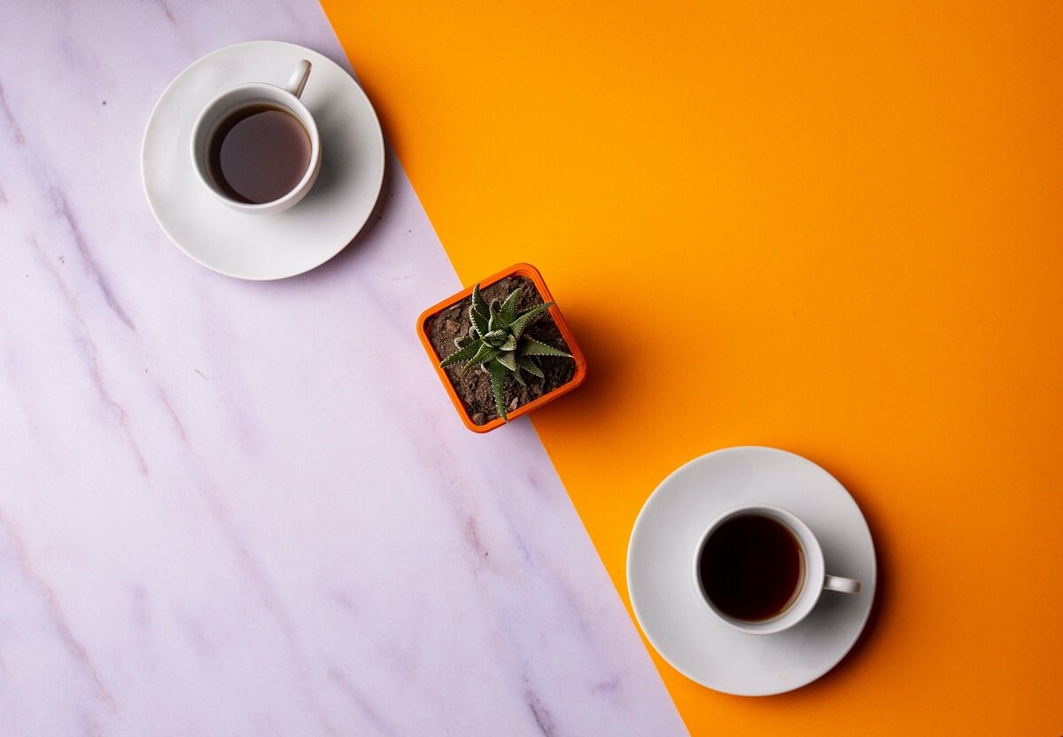 10 Different Types of Coffees that Every Coffee Lover Must Try!!