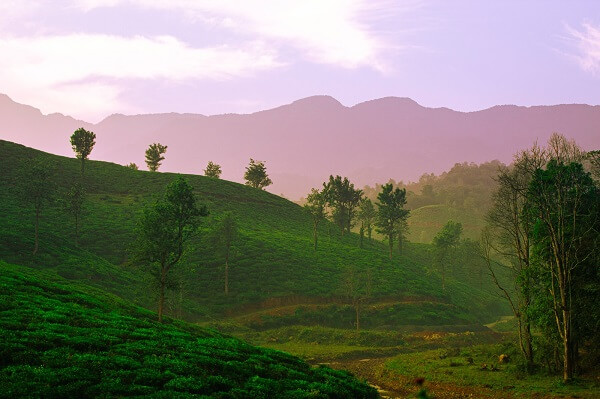 Best place to visit in South India during Summer - Wayanad