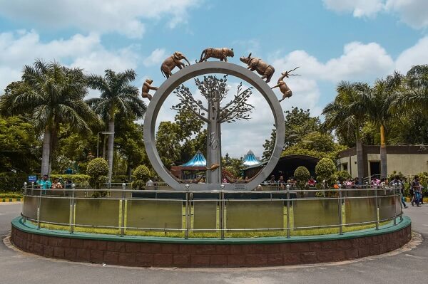 Best place to visit in South India during Summer - Nehru Zoological Park