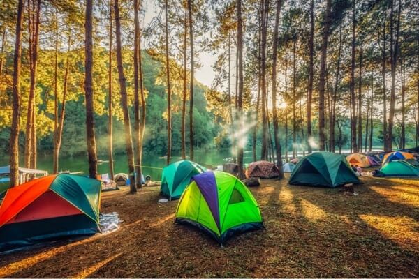 adventure sports in Maharashtra - Forest Camping