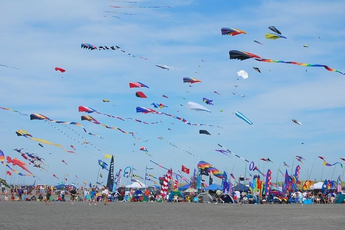 Festival celebrated in gujarat- Kite festival